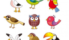 鸟的漫画图片,漫画中的鸟类风采